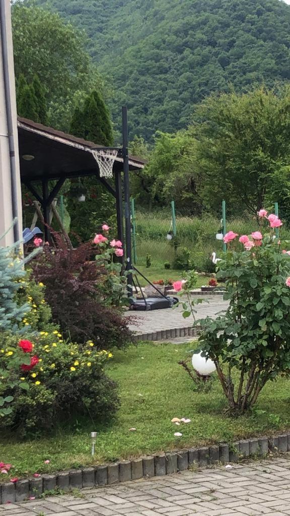 Pensiunea Casa Cu Flori Cisnădioara Eksteriør billede