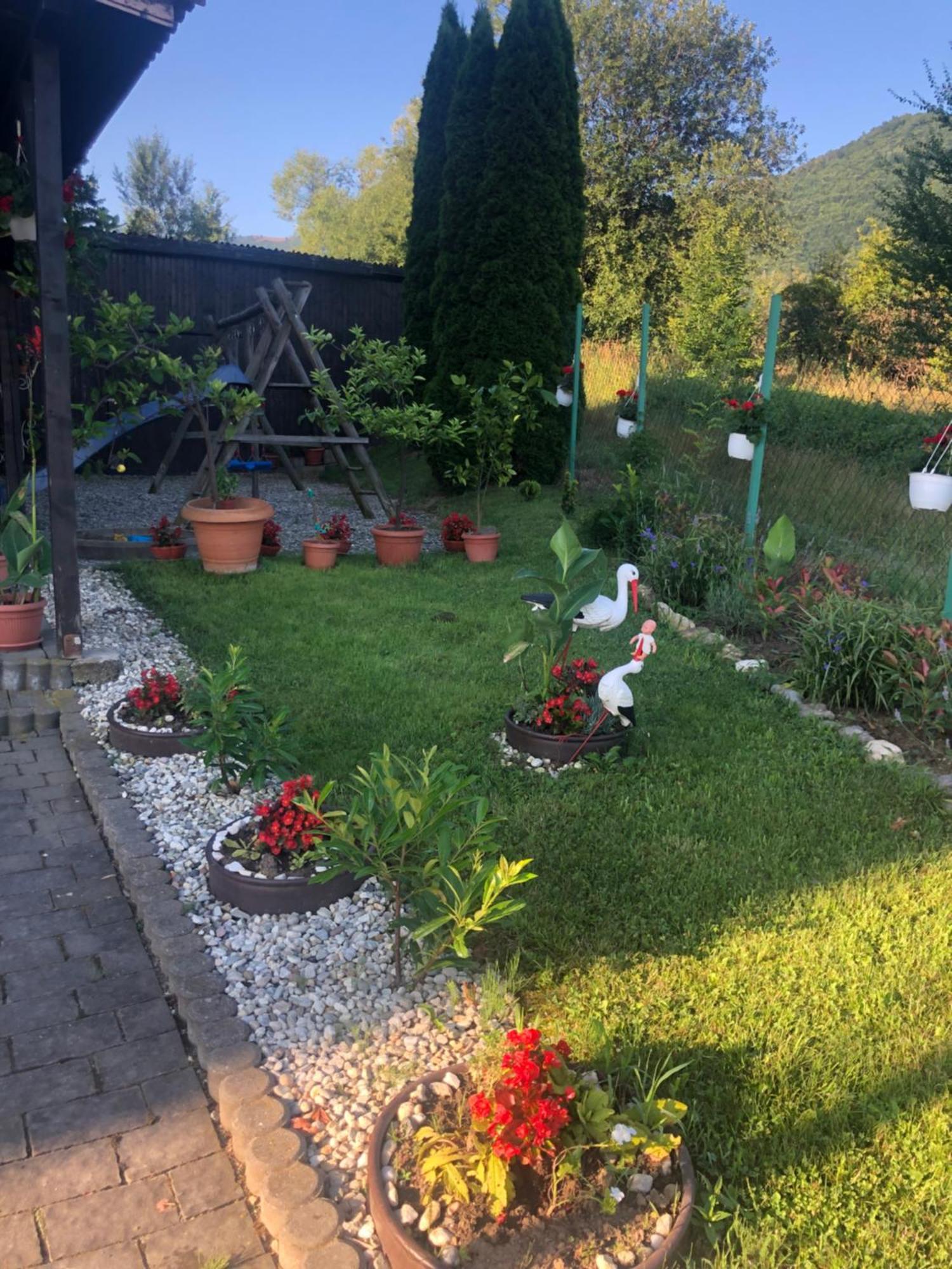 Pensiunea Casa Cu Flori Cisnădioara Eksteriør billede